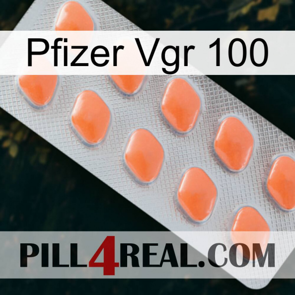 Pfizer Vgr 100 26.jpg